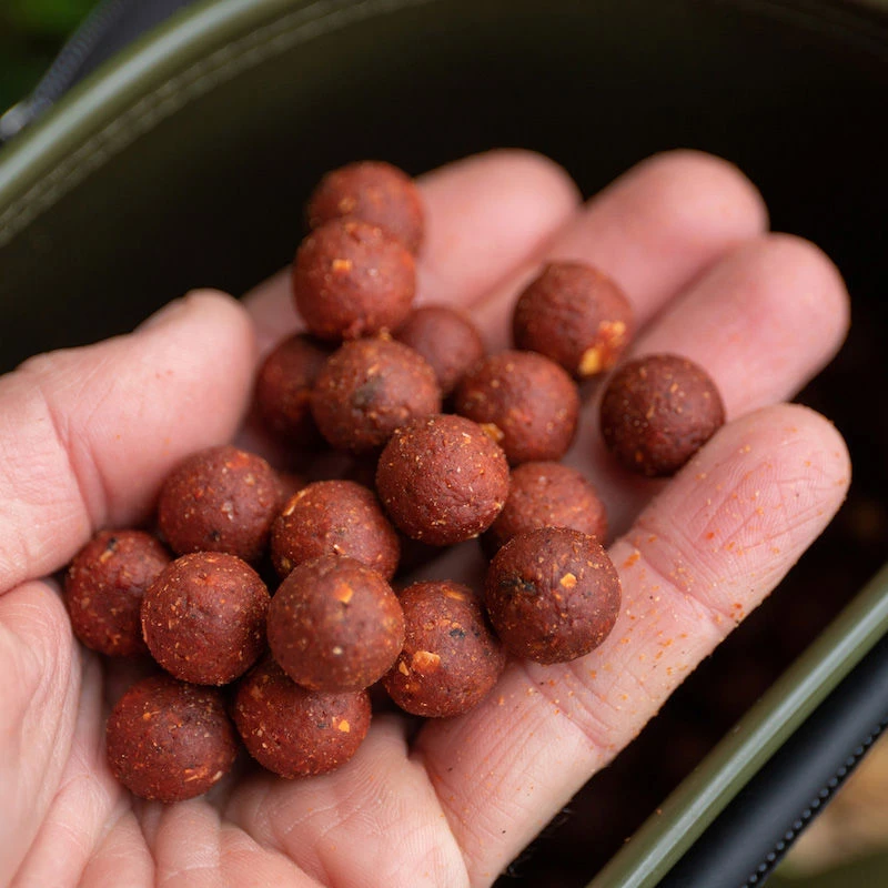 Dynamite Baits The Source Boilies 1kg
